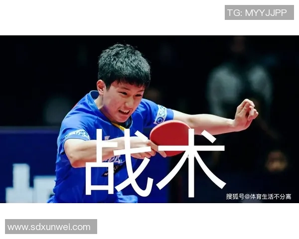 武汉乒乓球队进攻体系解析与战术运用的深度探讨