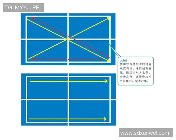 深入分析深圳乒乓球队防守战术与技术特点的专业解读