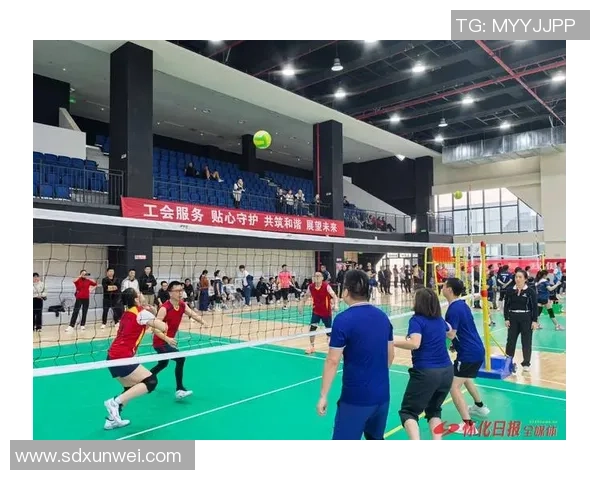 广州排球队实力大提升引发热议展望未来发展新篇章