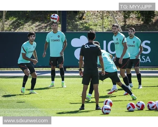 成都网球队在世界杯预选赛中的奋进之路与辉煌成就全景回顾