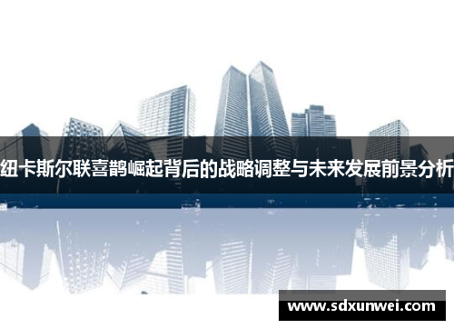 纽卡斯尔联喜鹊崛起背后的战略调整与未来发展前景分析